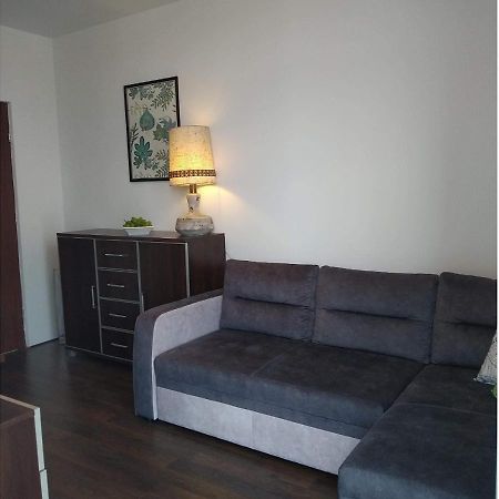 Sunny Penthouse With Roof Gardens Overlooking The Warsaw Palace Of Culture Pruszków Εξωτερικό φωτογραφία